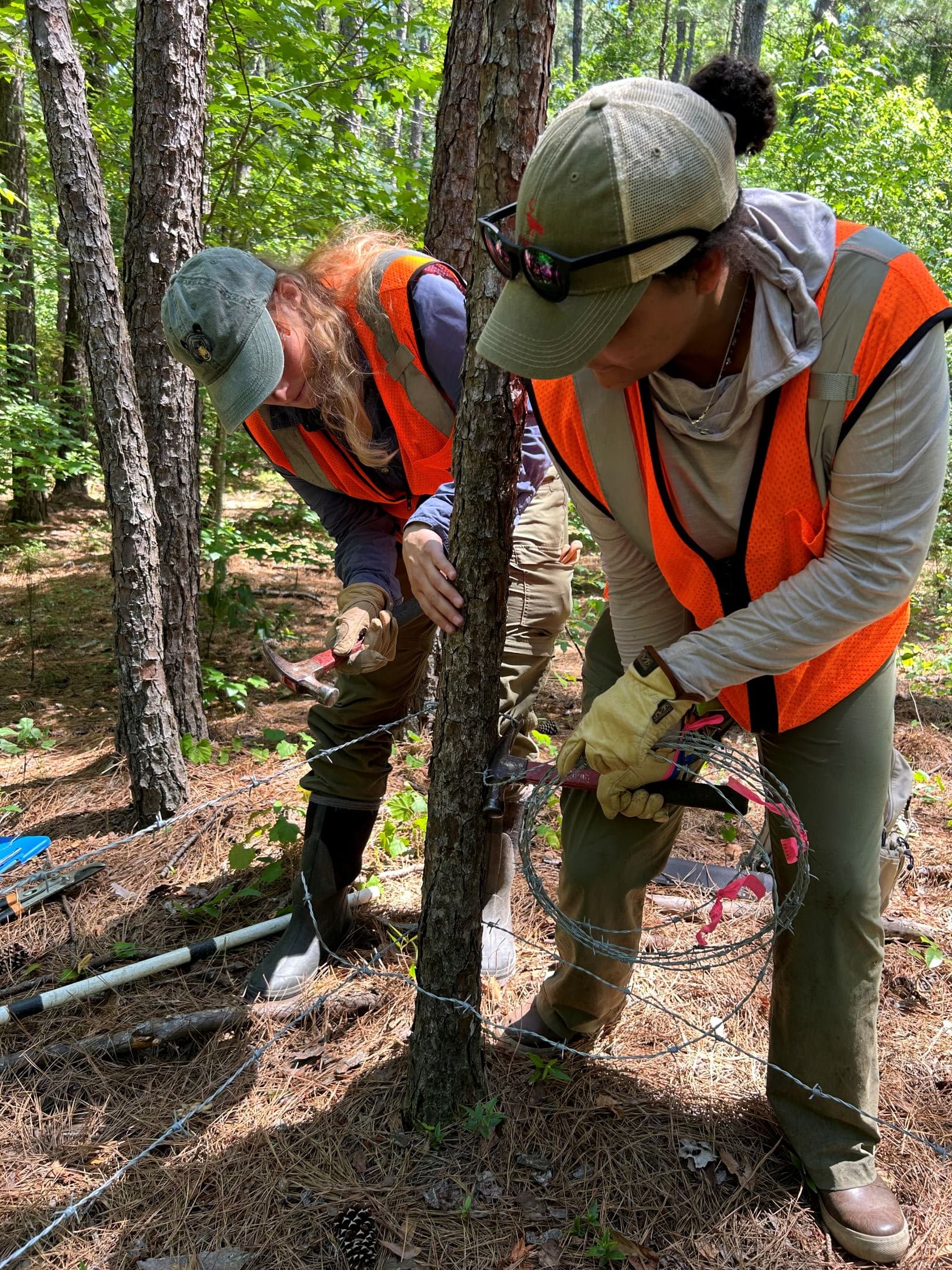 Researchers coordinated with Martin Marietta team members to gain safe access to collection sites at various East Division locations.